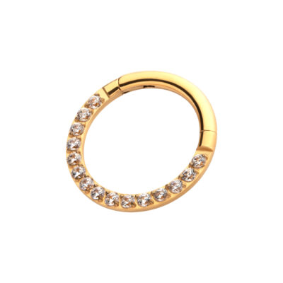 Gold Eternity Front Facing Hinged Segment Clicker