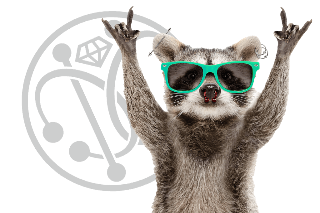 mij raccoon wearing sunglasses